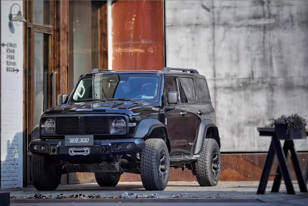 TOPFIRE-TANK 300 Knight Edition Body Kit